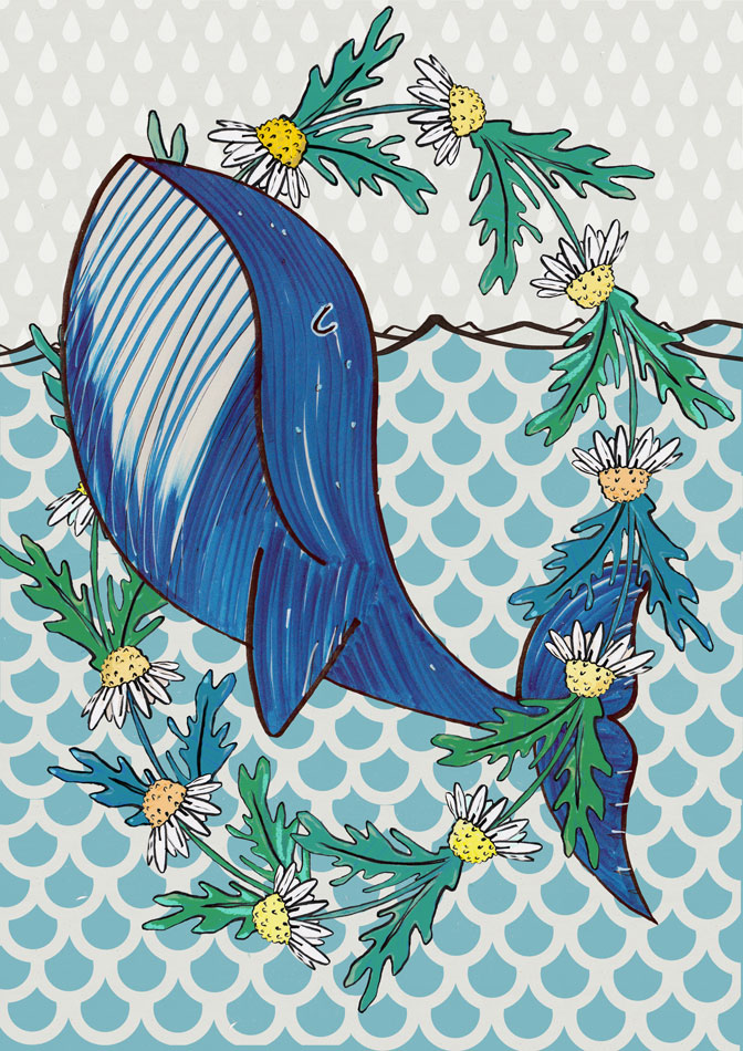 Balena Margherita | illustrazione di Tostoini