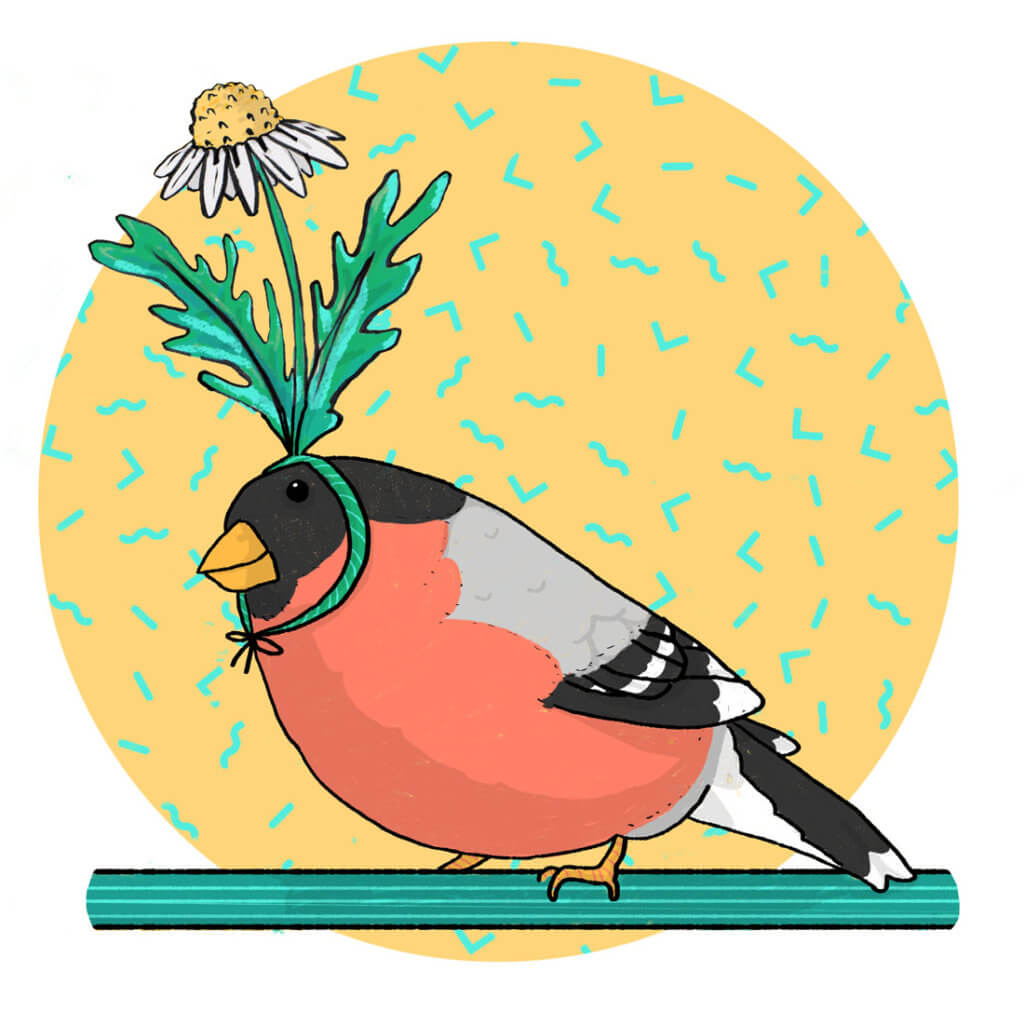 bird-of-a-feather-illustration-tostoini