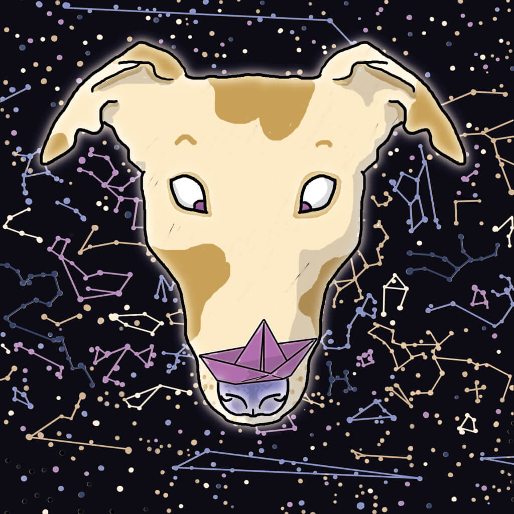 space greyhound illustration tostoini