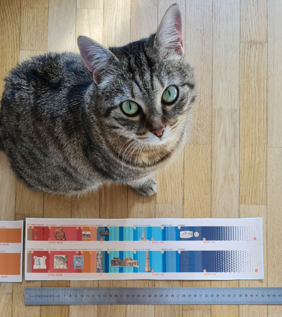 erbil and southern mesopotamia timelines paper draft for measurement with cat staring at the camera